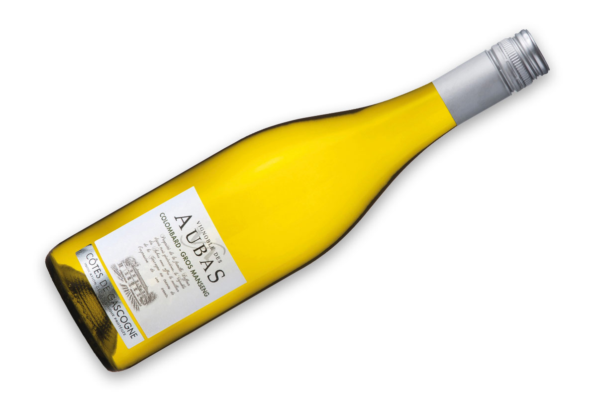 Witte wijn: Côtes de Gascogne 📦